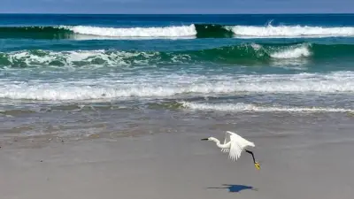 Supervisors call on county to work with state in fight against offshore drilling in San Diego