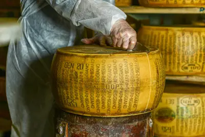 Trump’s war on Parmigiano Reggiano