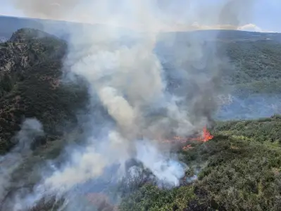 South Rim fire in Black Canyon of the Gunnison grows to 3,500 acres