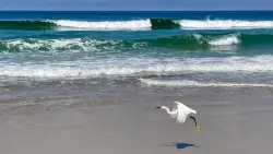 Supervisors call on county to work with state in fight against offshore drilling in San Diego