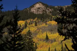 Leaf-peepers beware: Heightened parking enforcement planned for Guanella Pass this month