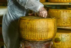 Trump’s war on Parmigiano Reggiano