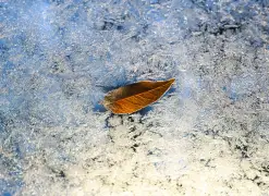 Denver weather: Are freezing temperatures coming?